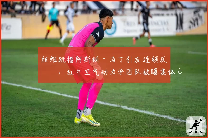 纽维跳槽阿斯顿·马丁引发连锁反应,红牛空气动力学团队被曝集体请辞