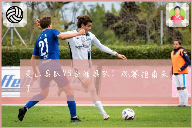 灵山县队VS合浦县队！观赛指南来了