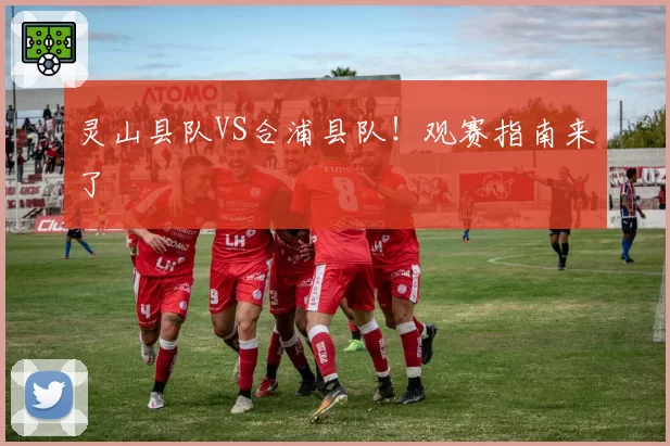 灵山县队VS合浦县队！观赛指南来了