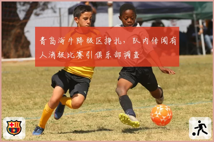 青岛海牛降级区挣扎，队内传闻有人消极比赛引俱乐部调查