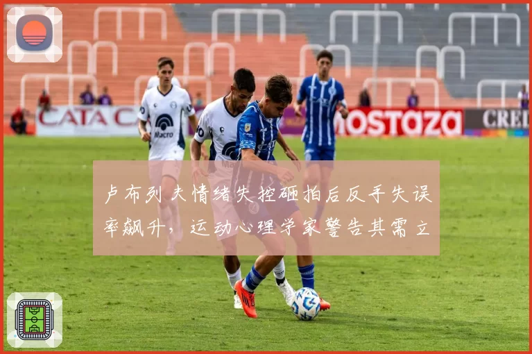 卢布列夫情绪失控砸拍后反手失误率飙升，运动心理学家警告其需立即干预
