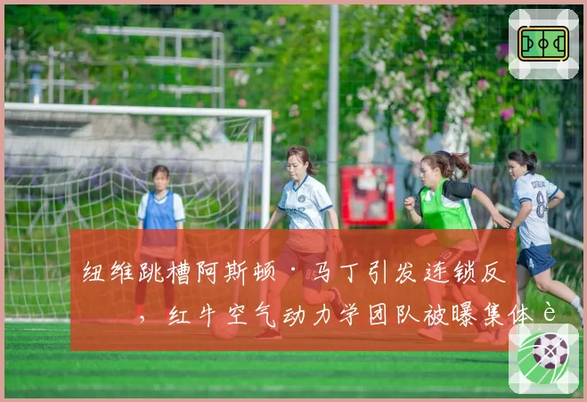 纽维跳槽阿斯顿·马丁引发连锁反应，红牛空气动力学团队被曝集体请辞